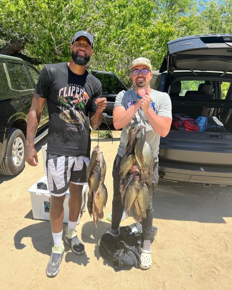 极寻找合适 极寻找合适