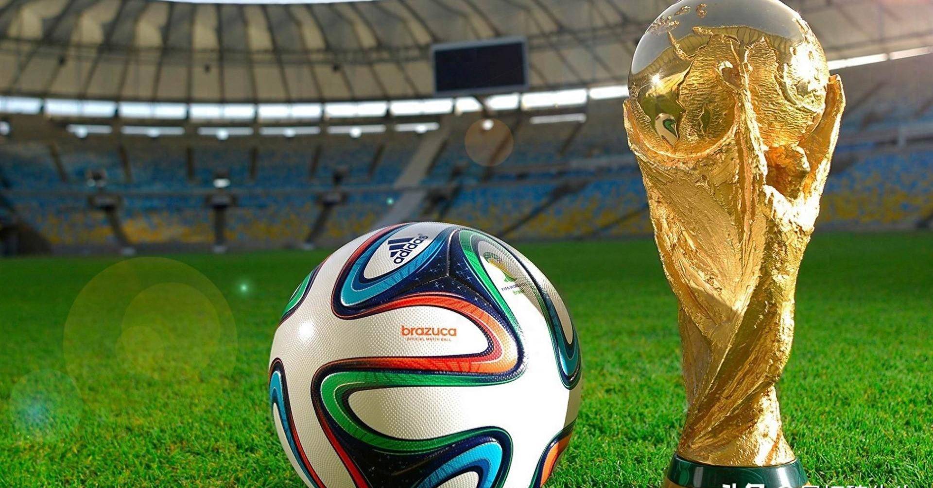 席部分赛季 席部分赛季